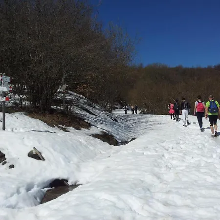 Cimone Supersci Polle-life Aparthotel 4*