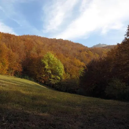 Cimone Supersci Polle-life 4*