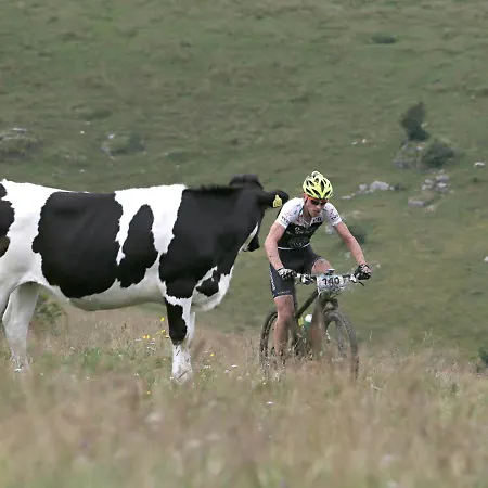 Cimone Supersci Polle-life Apartmanhotel 4*