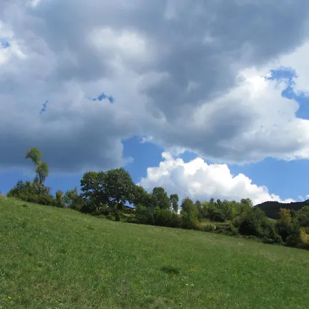Cimone Polle-life Riolunato