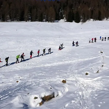 Cimone Supersci Polle-life