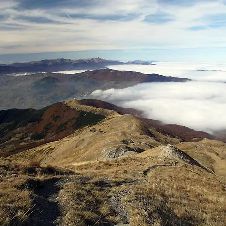 Cimone Supersci Polle-life 4*