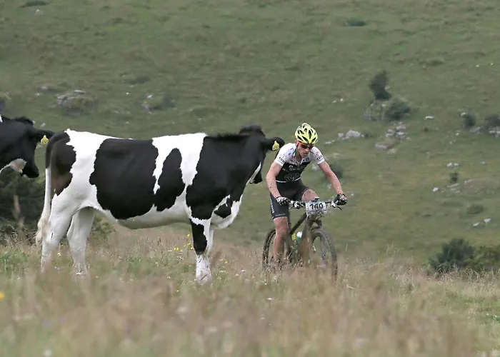 Cimone Supersci Polle-life Apart-hotel 4*