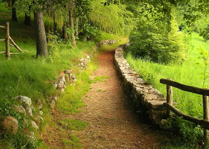 Cimone Supersci Polle-life Apart-hotel Riolunato