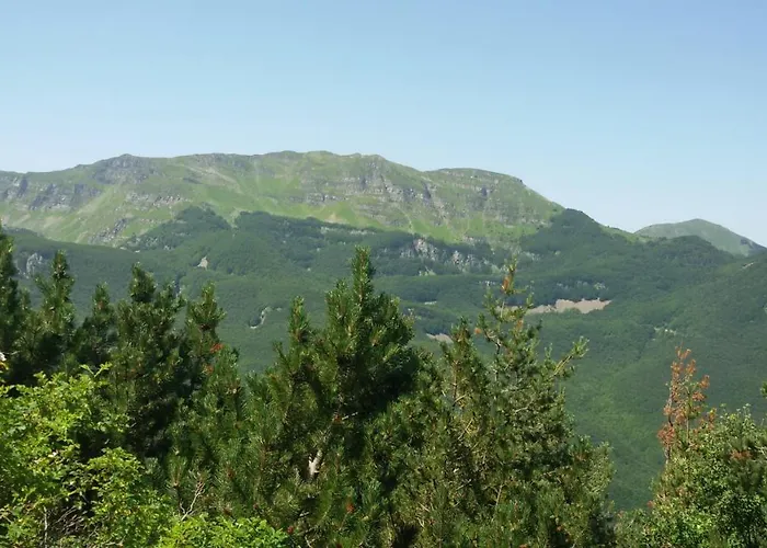 Cimone Supersci Polle-life Riolunato