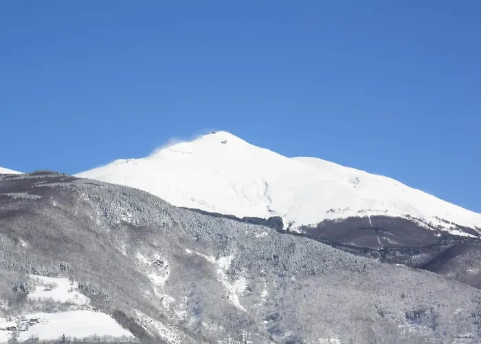 Apart-hotel Cimone Supersci Polle-life 4*