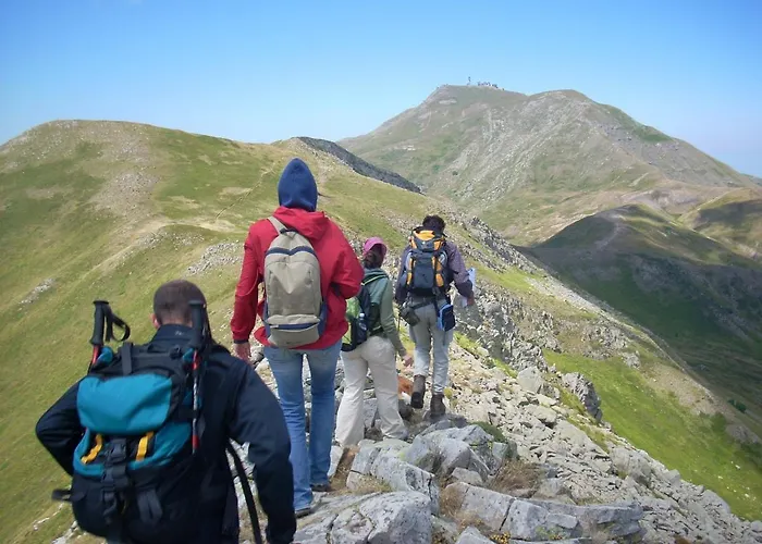 Cimone Supersci Polle-life 4*