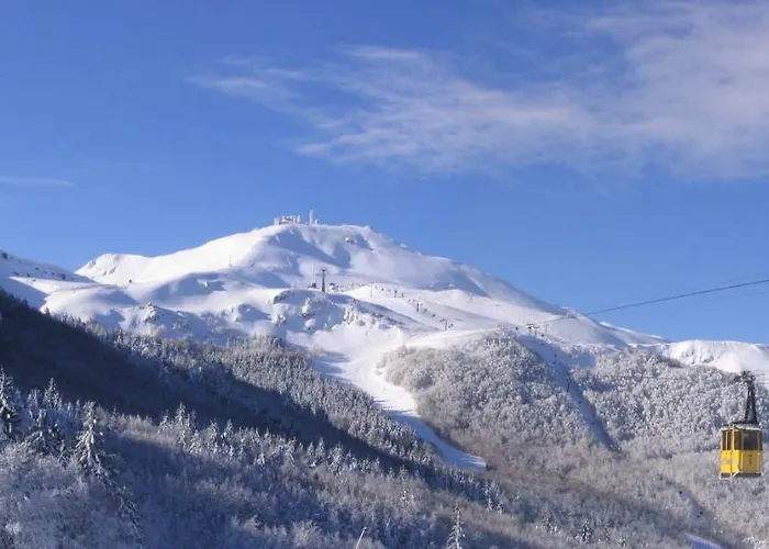 Cimone Supersci Polle-life شقة فندقية ريولوناتو