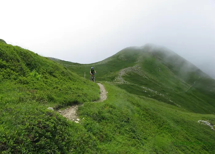 Cimone Supersci Polle-life Riolunato