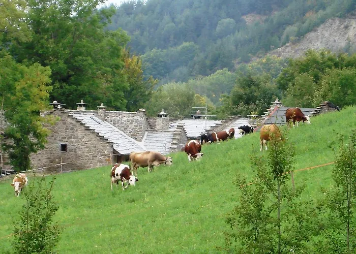 Cimone Supersci Polle-life Apart-hotel 4*