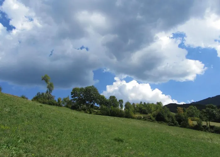 Cimone Supersci Polle-life Riolunato