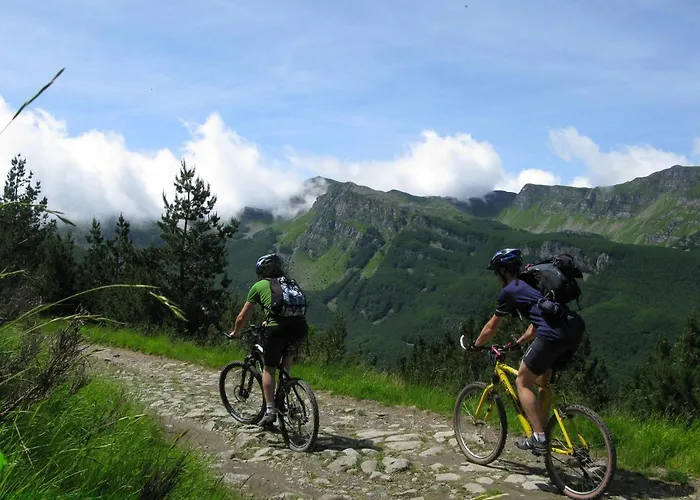 Cimone Supersci Polle-life Apart-hotel