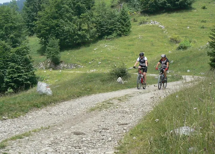 Cimone Supersci Polle-life 4*