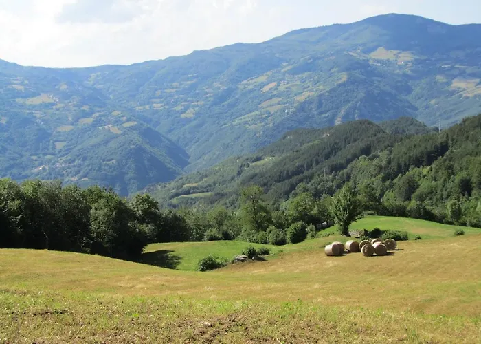 Cimone Supersci Polle-life Apart-hotel 4*