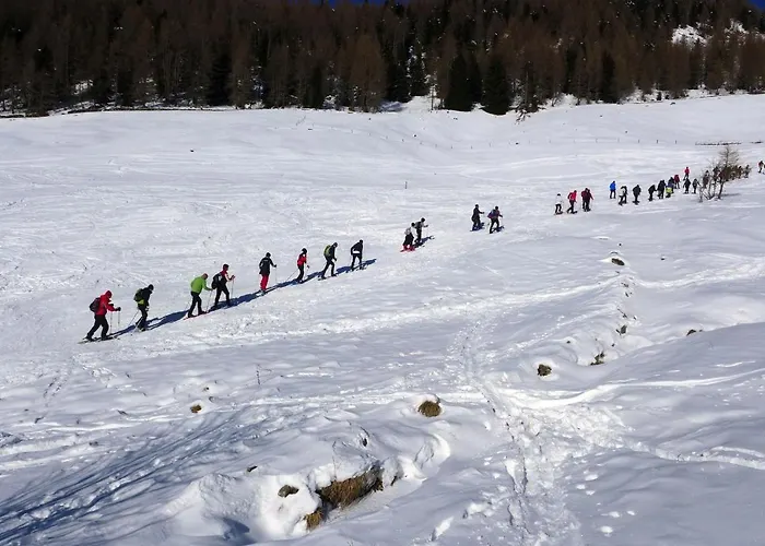 Cimone Supersci Polle-life