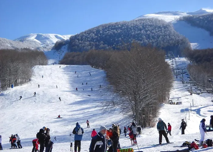 Cimone Supersci Polle-life