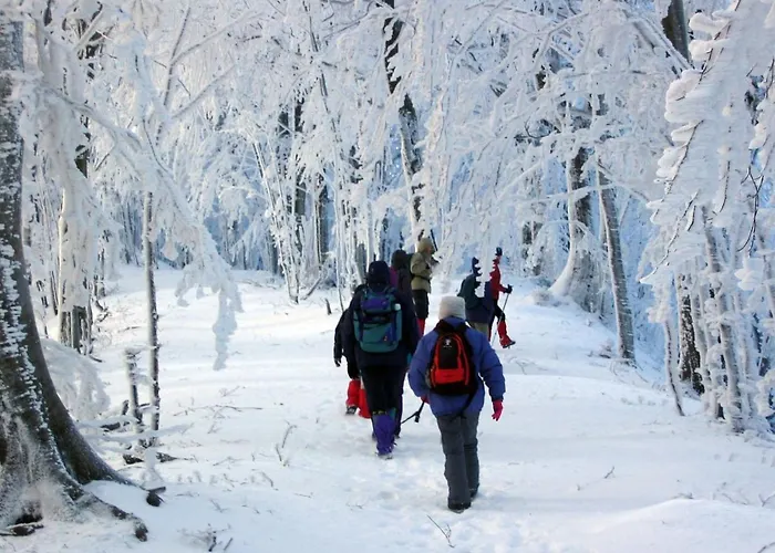 Cimone Supersci Polle-life 4* Riolunato