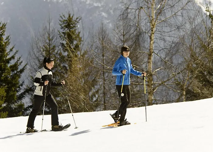 Cimone Supersci Polle-life 4*