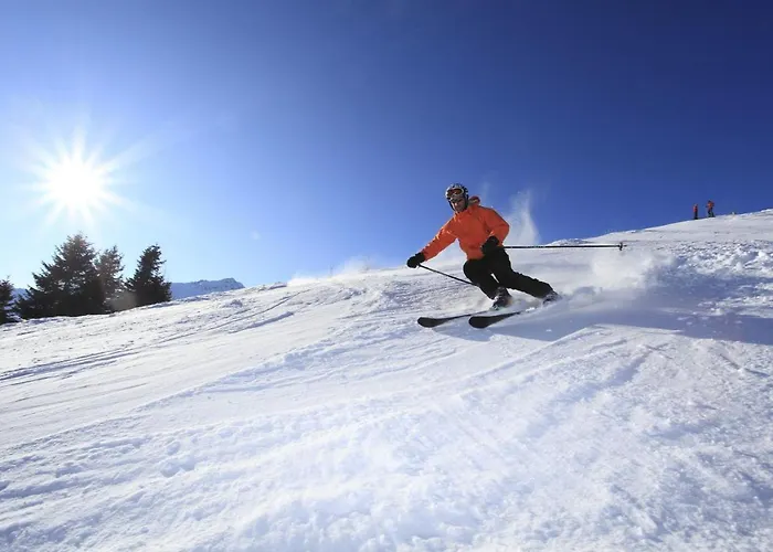 Cimone Supersci Polle-life 4*