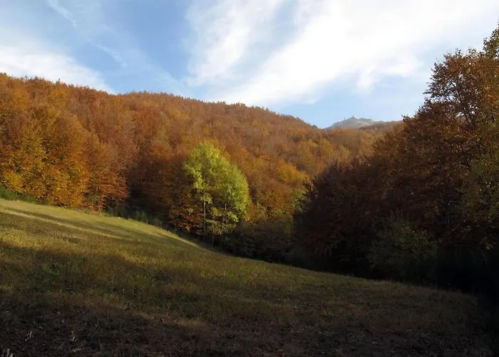 Cimone Supersci Polle-life 4*