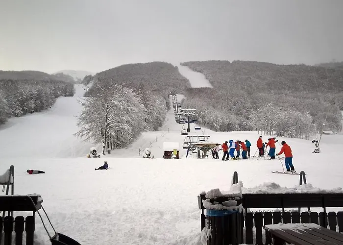 Cimone Supersci Polle-life