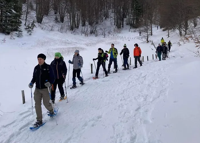 Cimone Supersci Polle-life Apart-hotel Riolunato