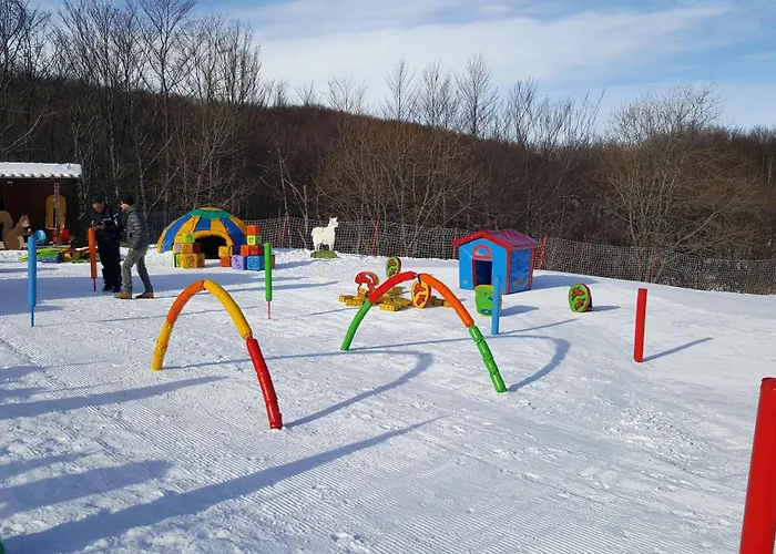 Cimone Supersci Polle-life