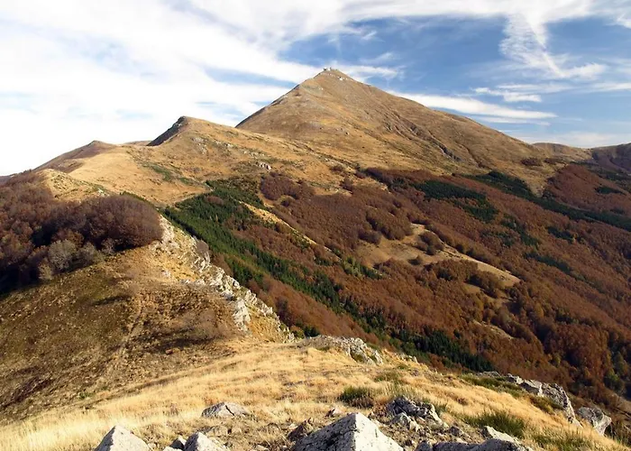 شقة فندقية Cimone Supersci Polle-life ريولوناتو