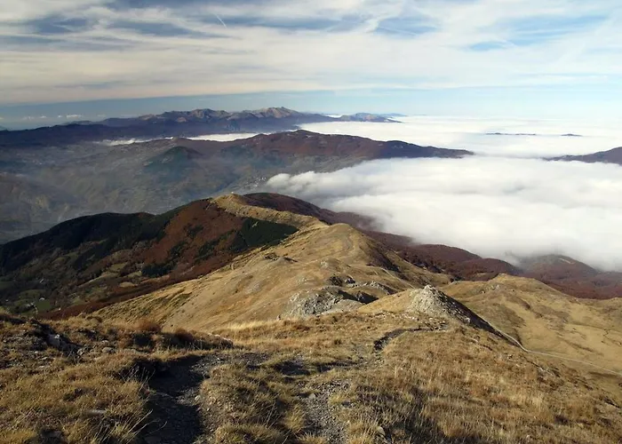 Cimone Supersci Polle-life 4*